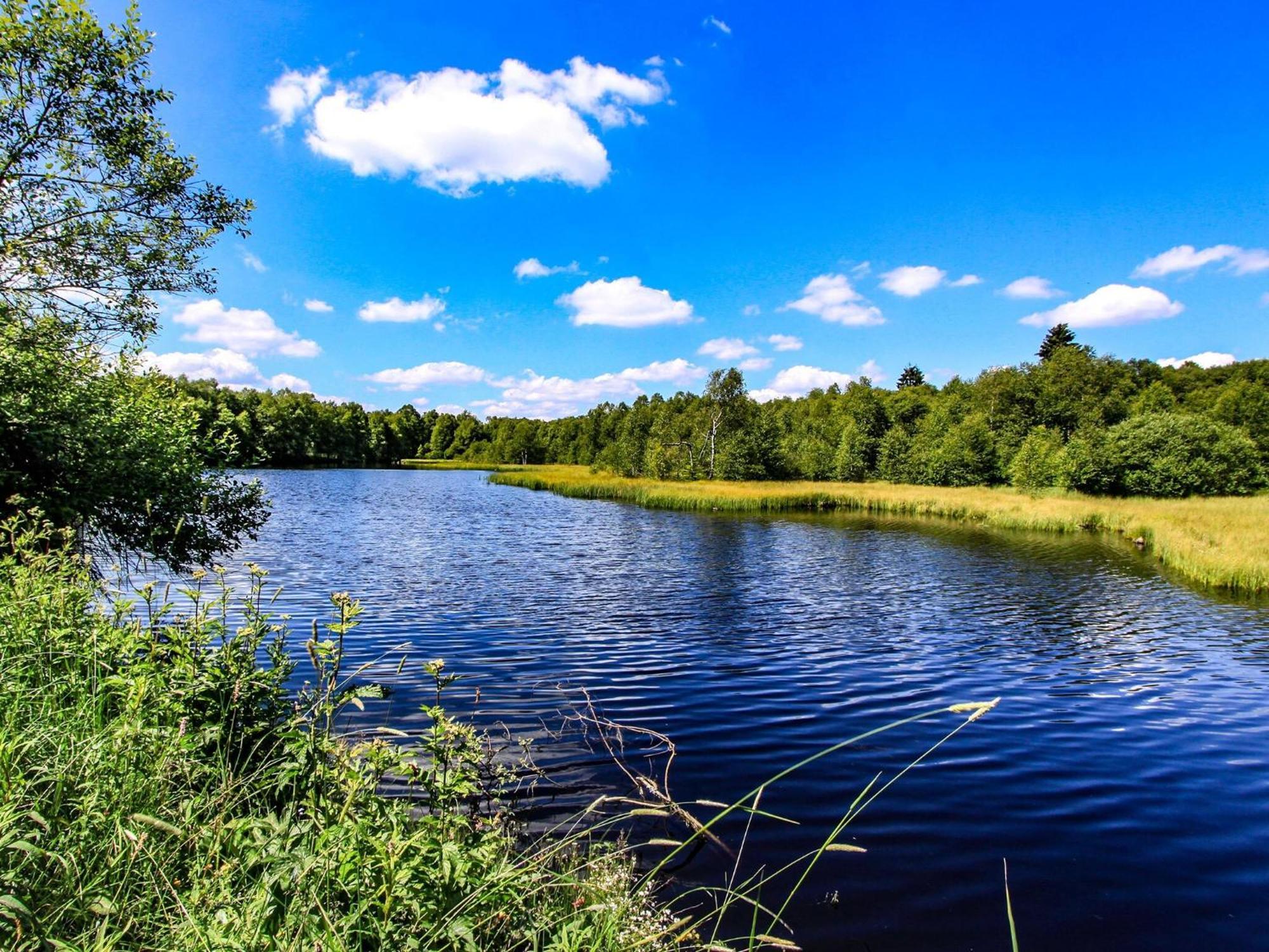 Feriendorf Wasserkuppe Wassersuppe Buitenkant foto